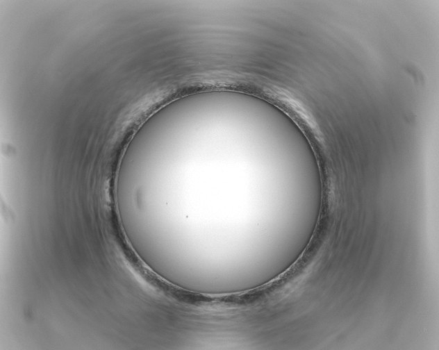 X0000091350633200708101037