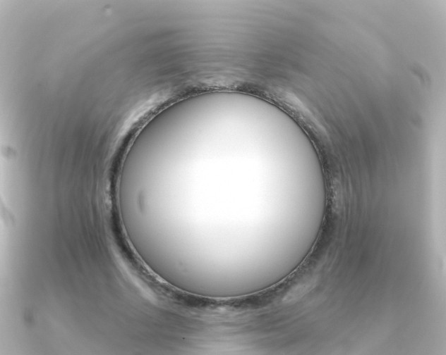 X0000091350634200708101037