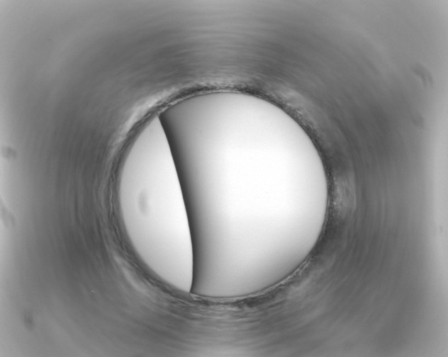 X0000091350636200708101037
