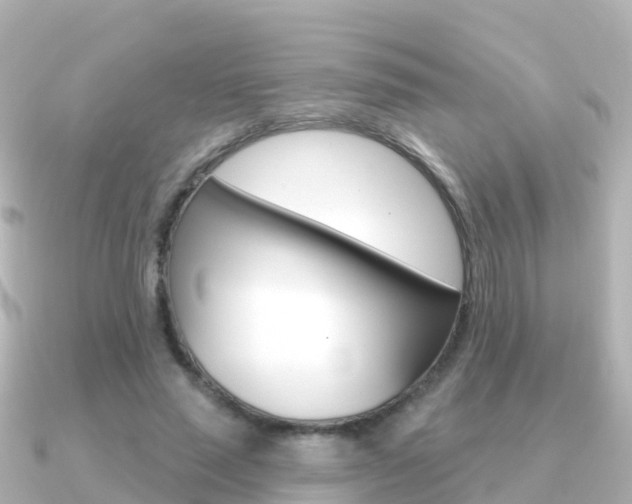 X0000091350637200708101037