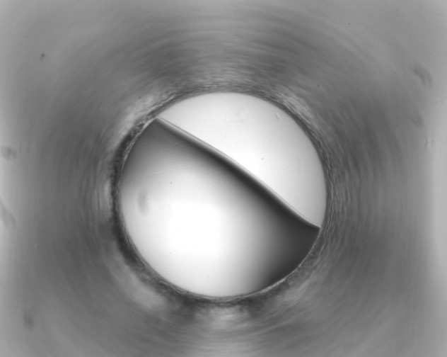 X0000091350638200708101037