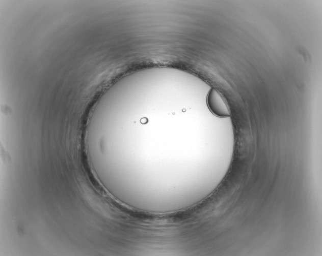 X0000091350639200708101038