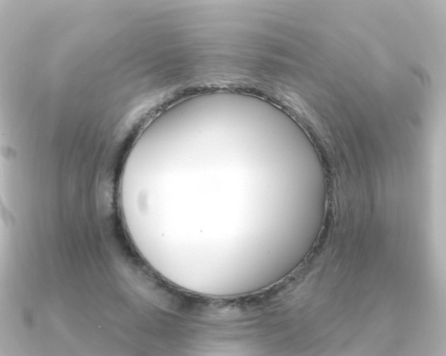X0000091350640200708101038