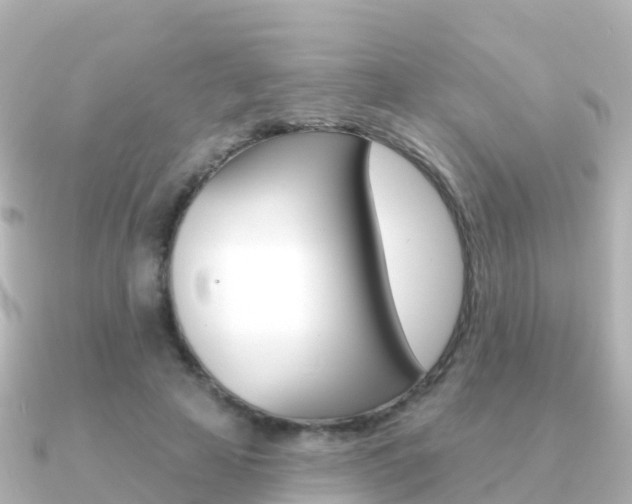 X0000091350641200708101038
