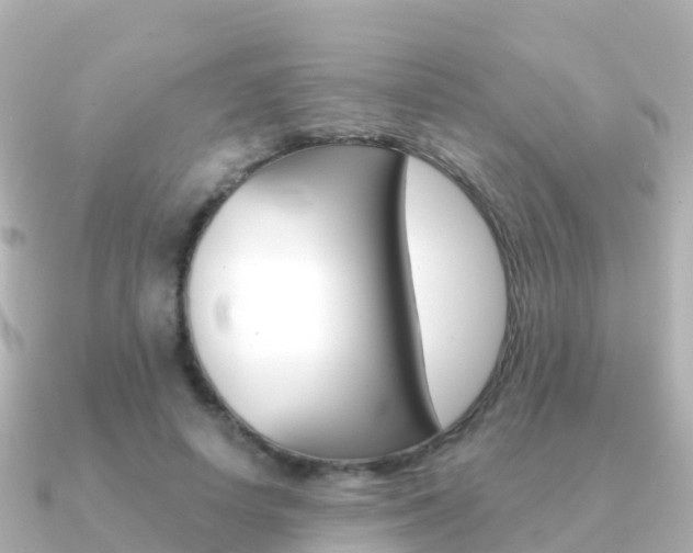 X0000091350642200708101038