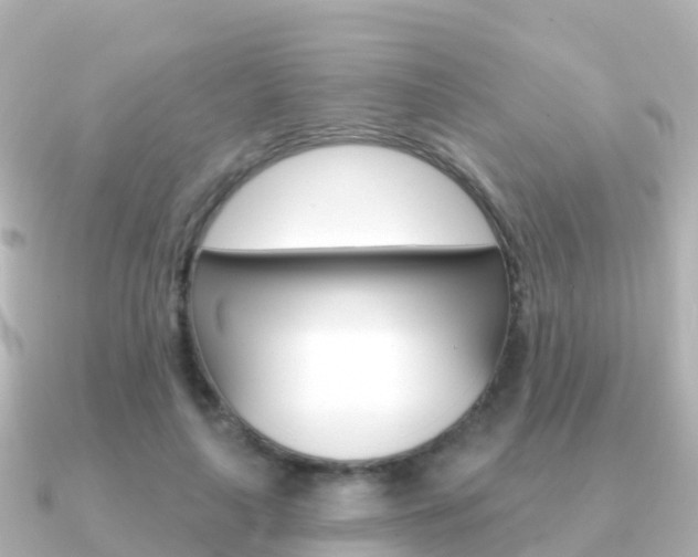 X0000091350643200708101038