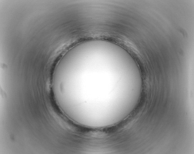 X0000091350644200708101038