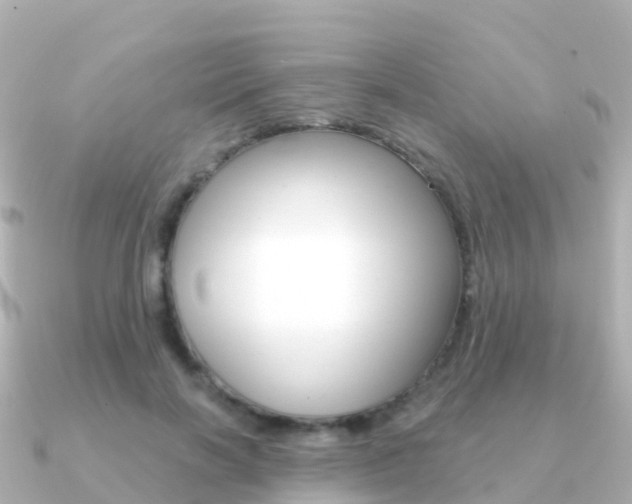 X0000091350646200708101038