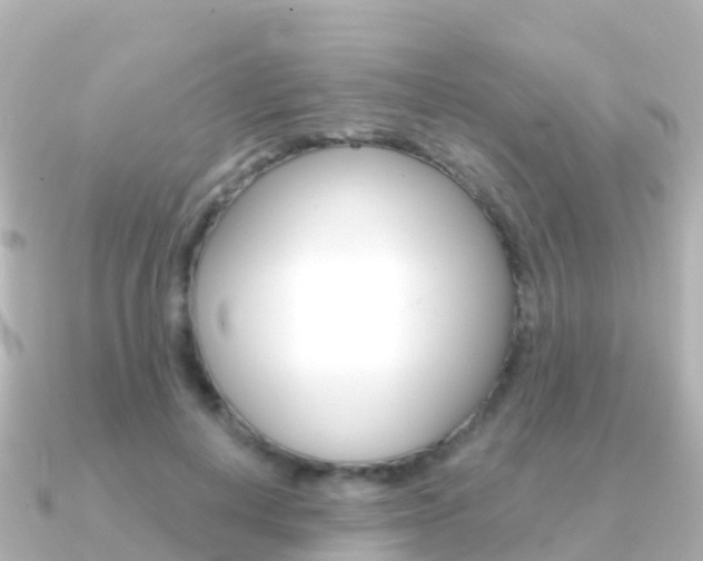 X0000091350648200708101038