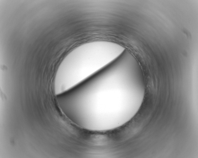 X0000091350649200708101038