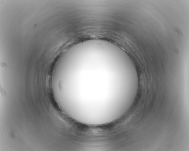 X0000091350650200708101038