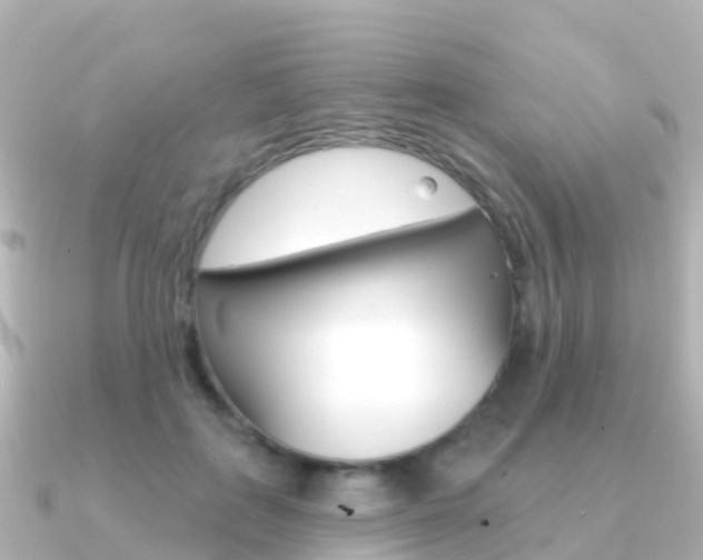 X0000091350651200708101038