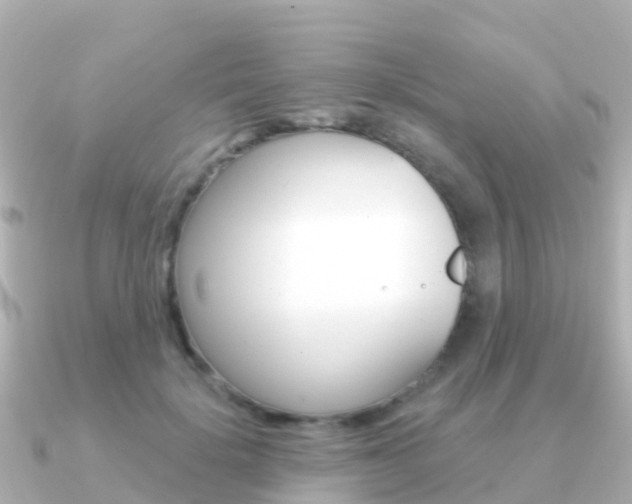 X0000091350652200708101038