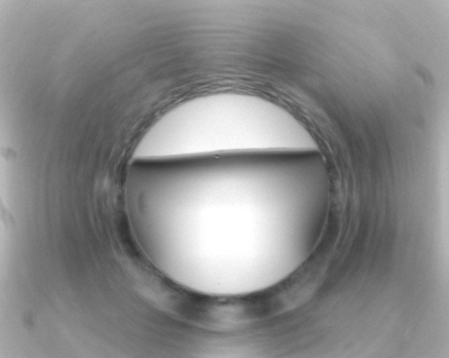 X0000091350653200708101038