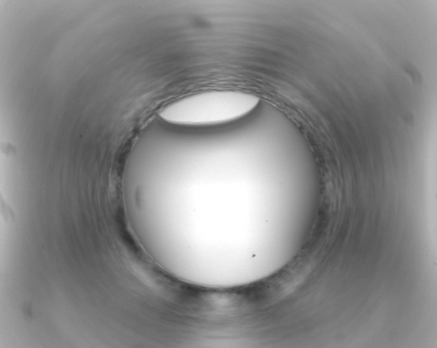 X0000091350654200708101038