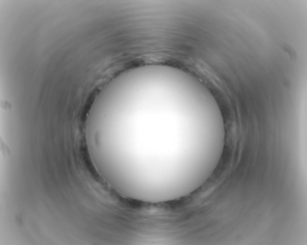 X0000091350655200708101038