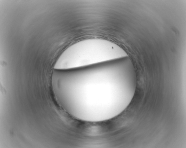 X0000091350658200708101038