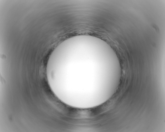 X0000091350659200708101038
