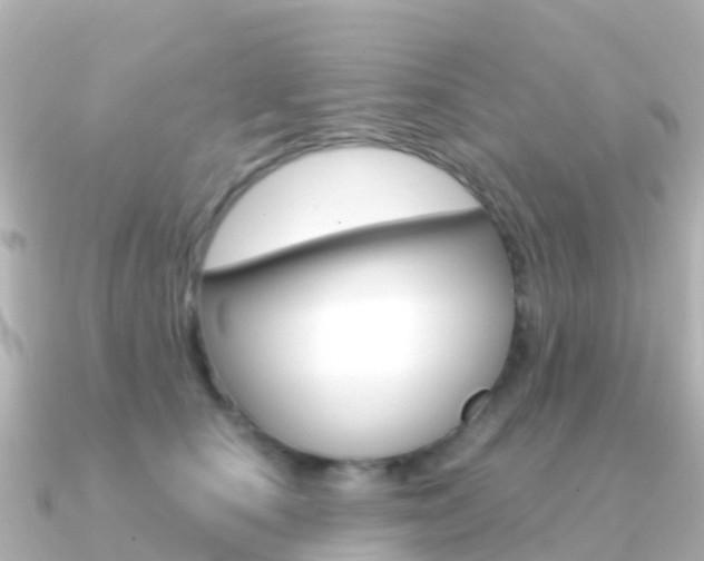 X0000091350660200708101038
