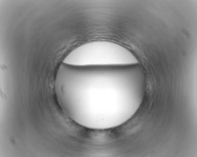 X0000091350661200708101038