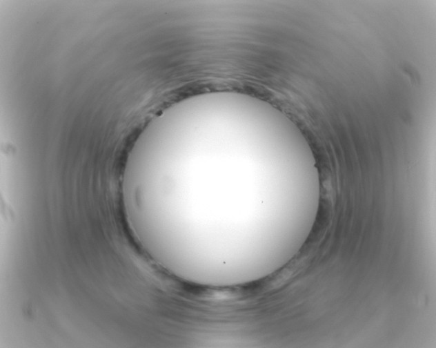 X0000091350662200708101038
