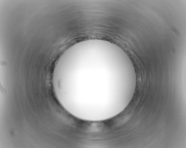 X0000091350663200708101038