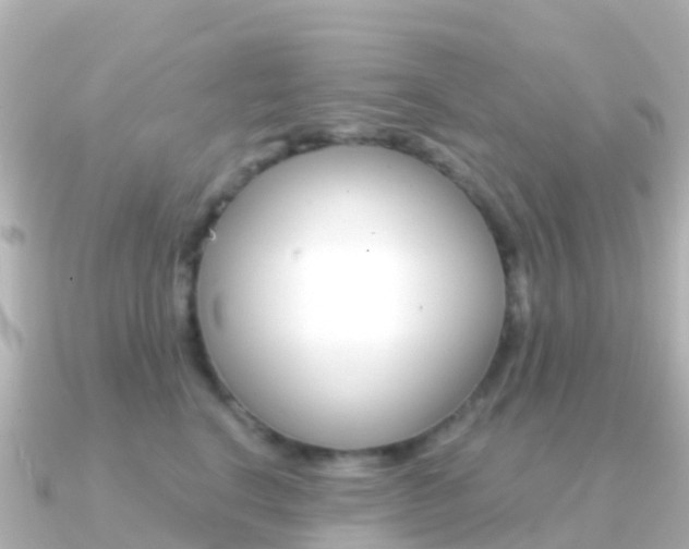 X0000091350664200708101038