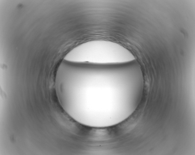 X0000091350665200708101038