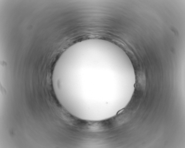 X0000091350667200708101038