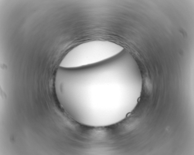 X0000091350668200708101038
