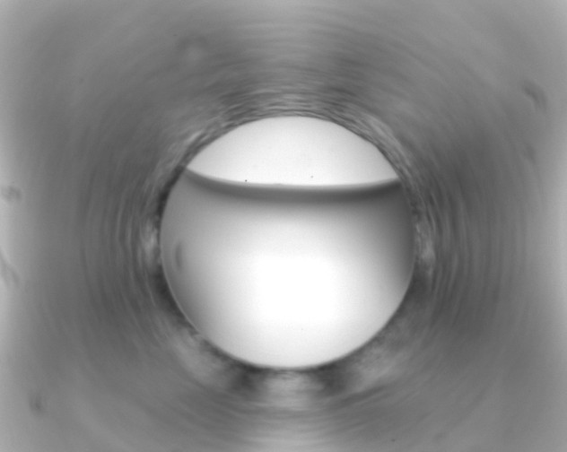 X0000091350669200708101038