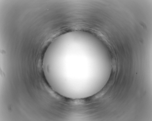 X0000091350670200708101038