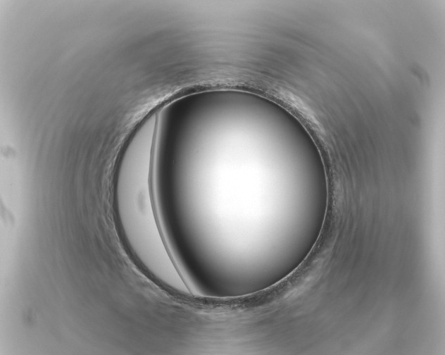 X0000091350673200708101037