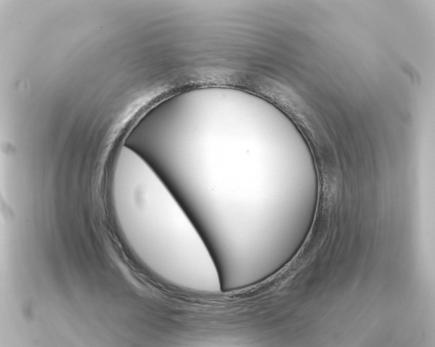 X0000091350674200708101037