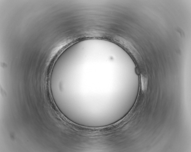 X0000091350675200708101037