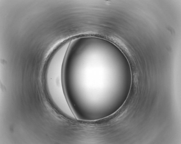 X0000091350676200708101037