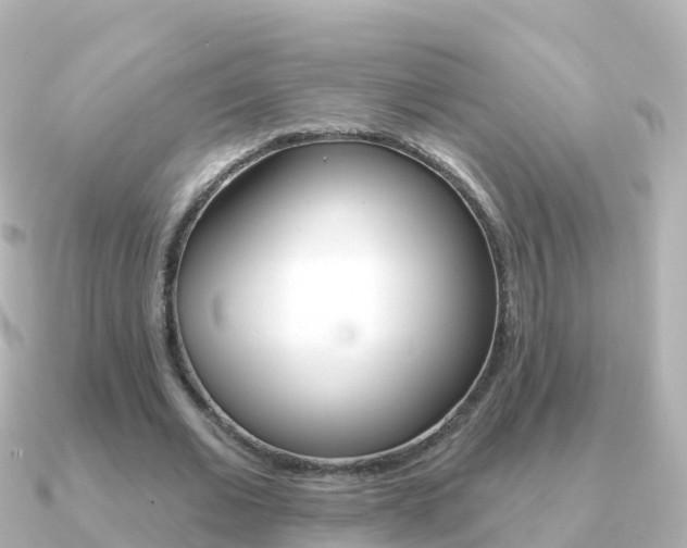 X0000091350677200708101037