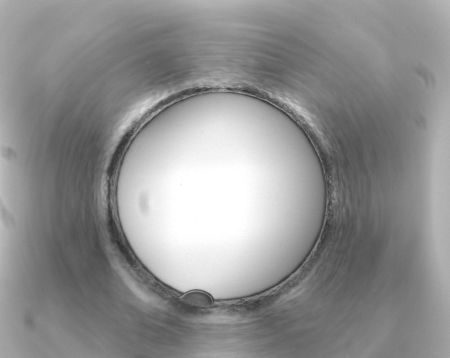 X0000091350678200708101037