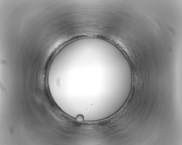 X0000091350679200708101037