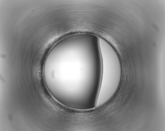X0000091350680200708101037