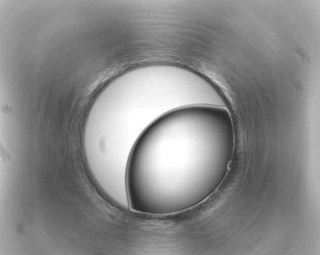 X0000091350681200708101037