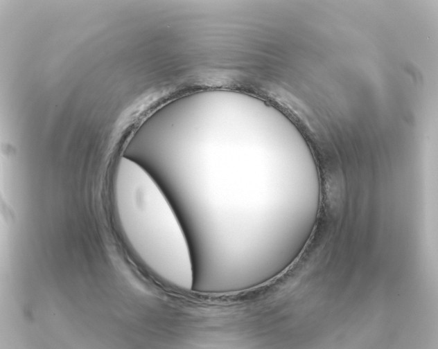 X0000091350682200708101037
