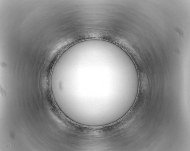 X0000091350683200708101037