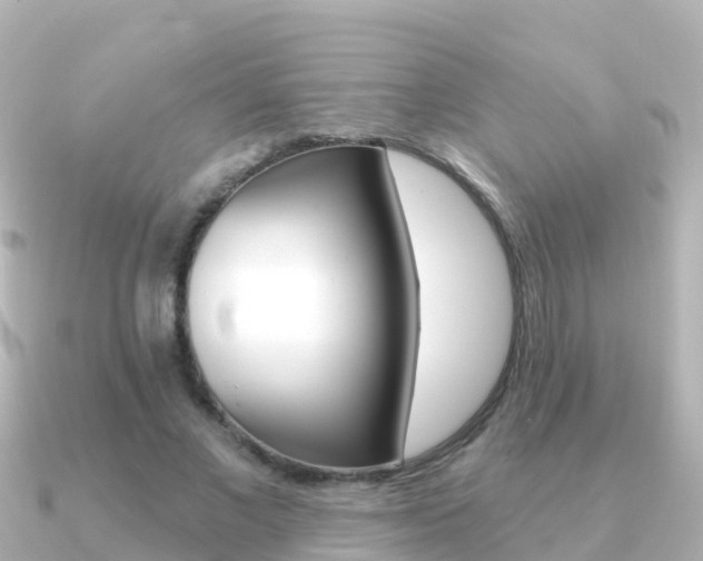 X0000091350685200708101037