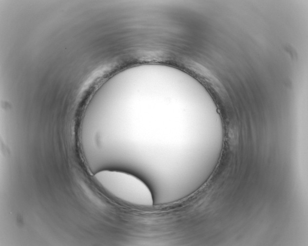 X0000091350686200708101037