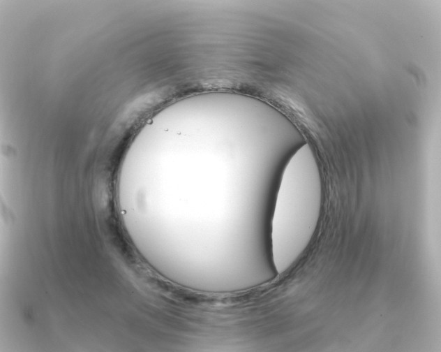 X0000091350687200708101037