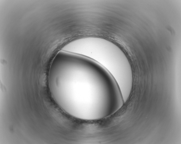 X0000091350689200708101037