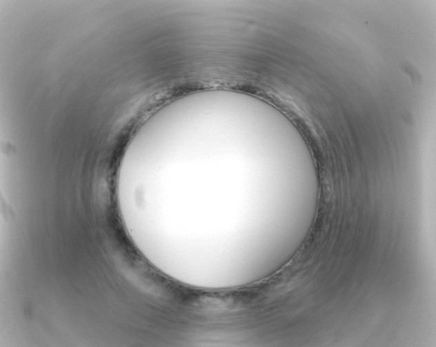 X0000091350690200708101037