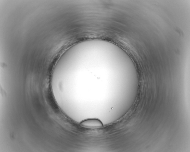 X0000091350691200708101037