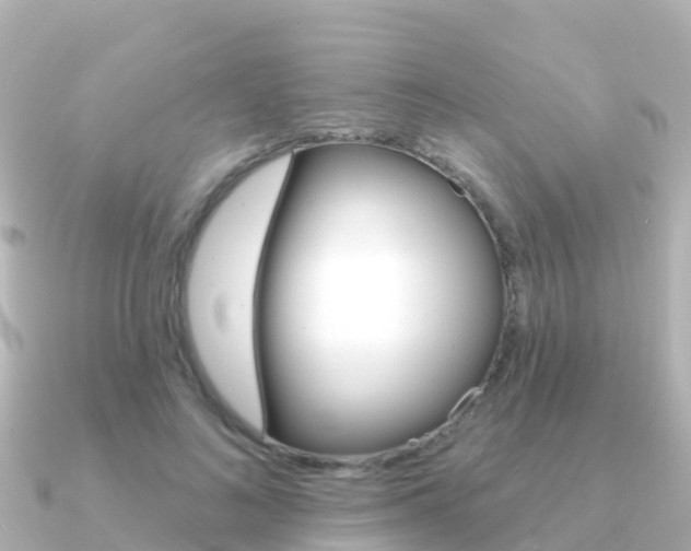 X0000091350692200708101037